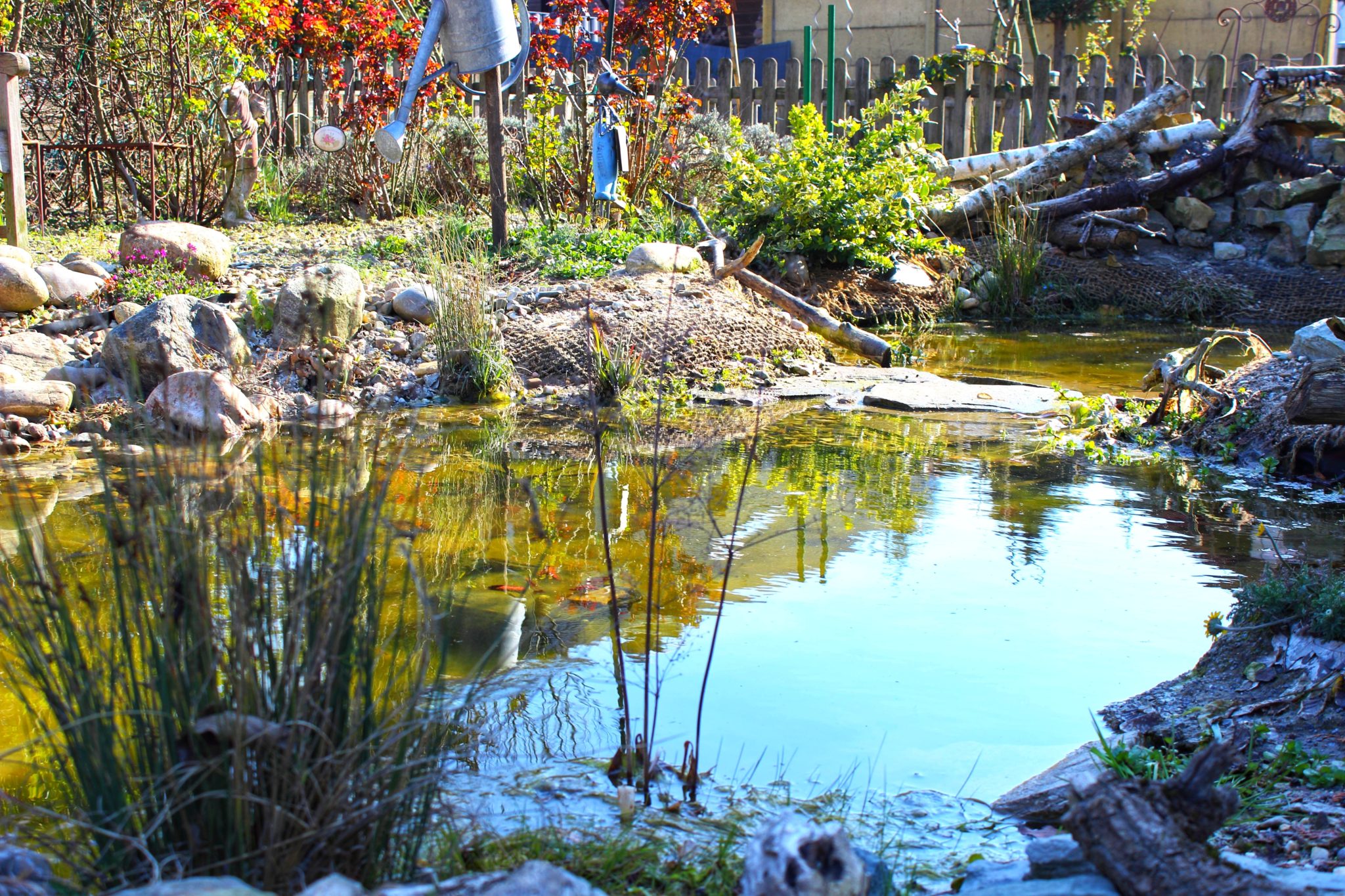 DER „HORTUS HOBBITUS“ UND SEINE BEWOHNER Zauberhaftes Münsterland
