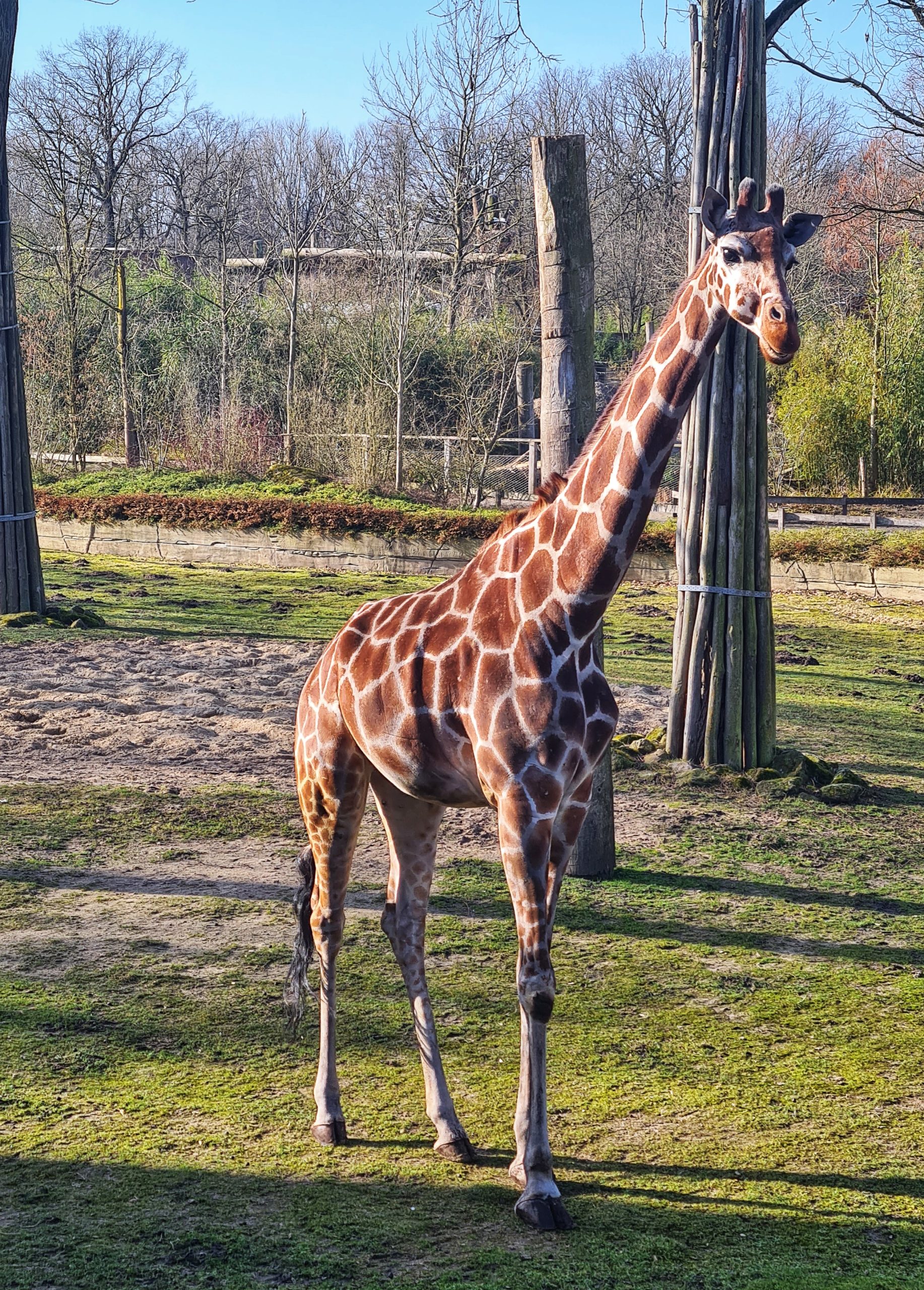 EIN BESUCH IM „ALLWETTERZOO MÜNSTER“ - Zauberhaftes Münsterland
