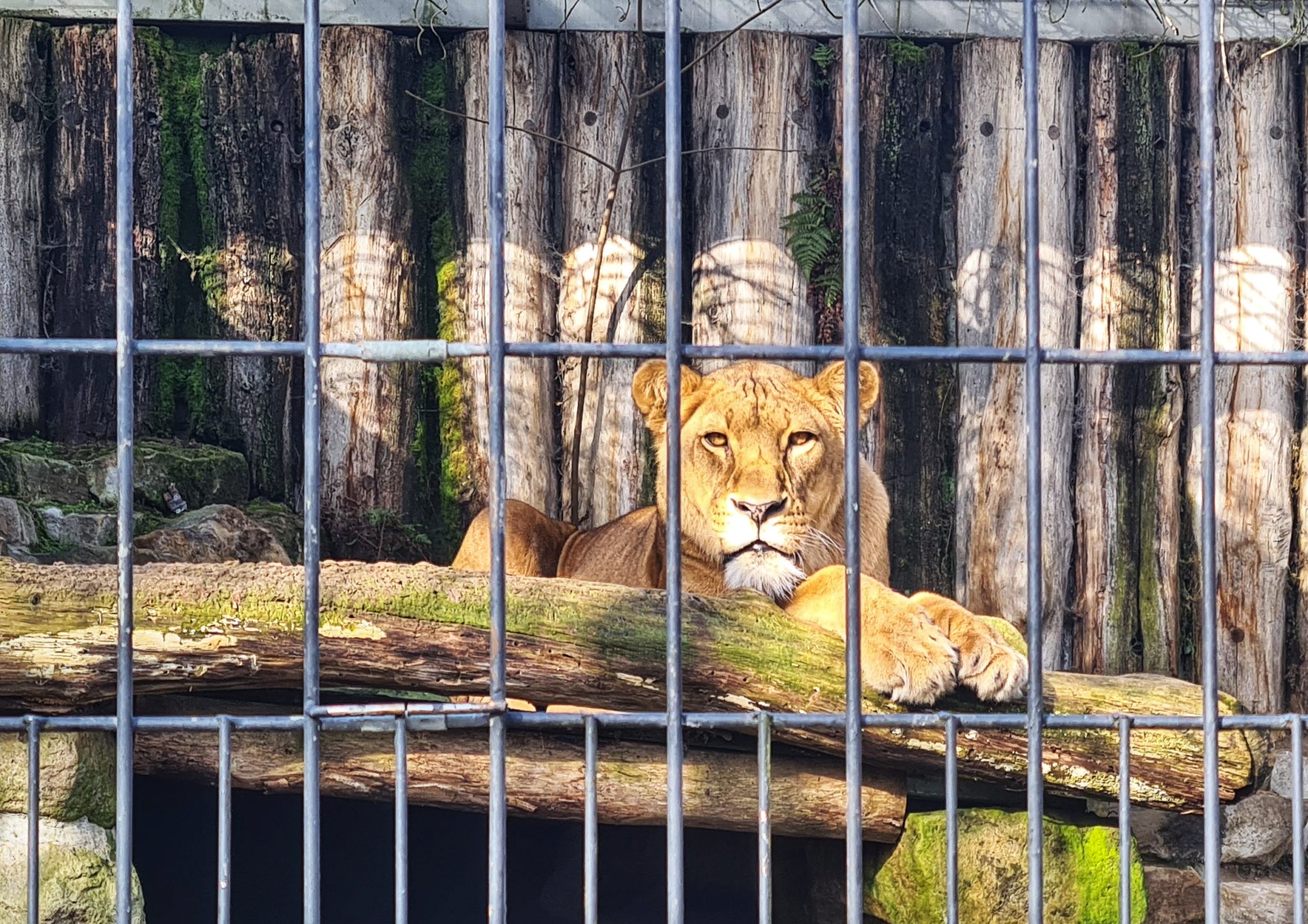 EIN BESUCH IM „ALLWETTERZOO MÜNSTER“ - Zauberhaftes Münsterland
