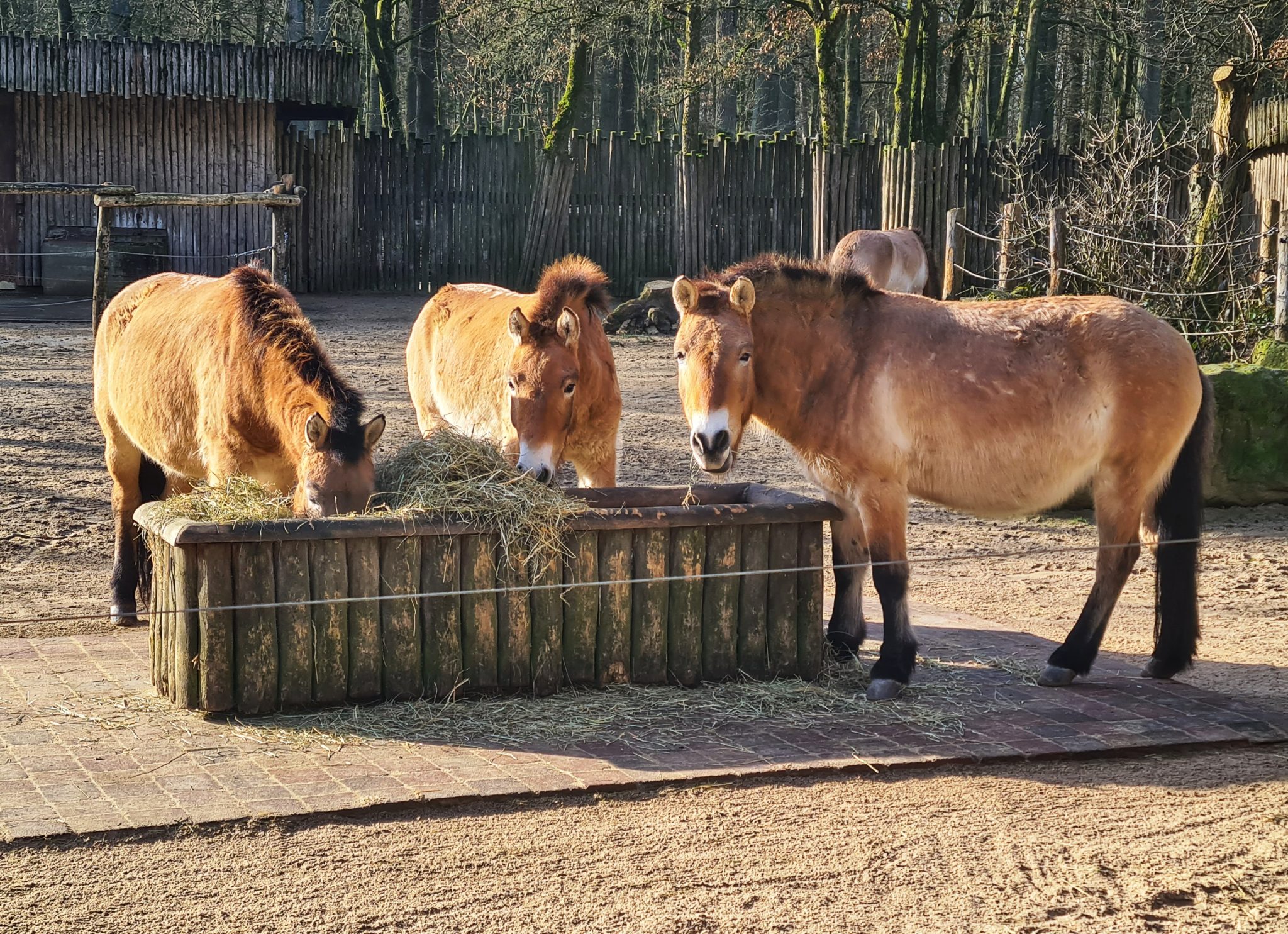 EIN BESUCH IM „ALLWETTERZOO MÜNSTER“ - Zauberhaftes Münsterland