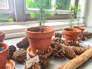 CHRISTINE WIEGELMANN ZU GAST IM BOTANISCHEN GARTEN - Zauberhaftes  Mnsterland